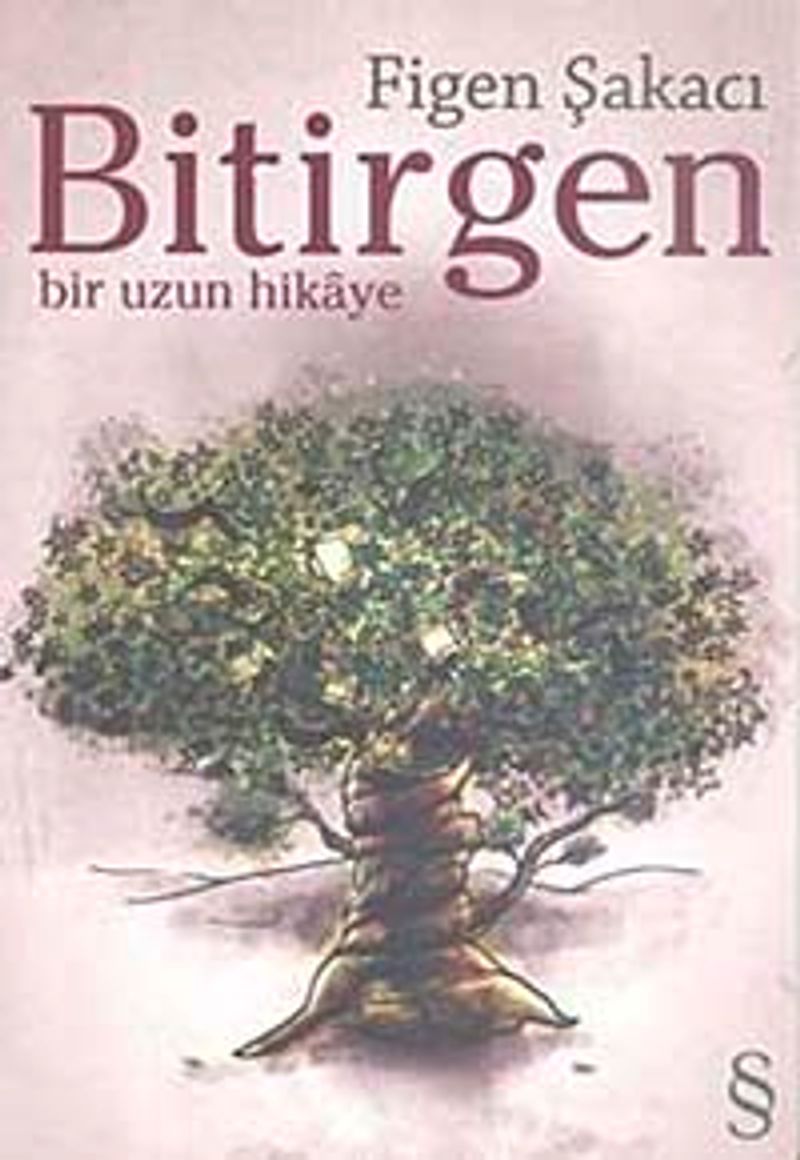 Bitirgen Bir Uzun Hikaye kitap kapağı