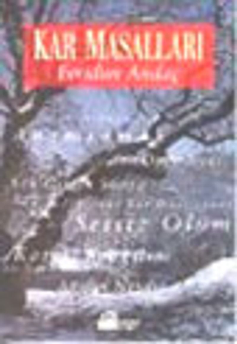 Kar Masalları kitap kapağı