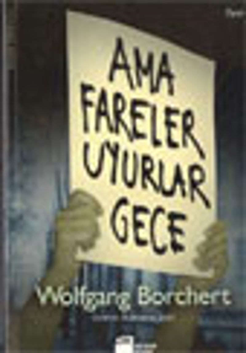 Ama Fareler Uyurlar Gece kitap kapağı