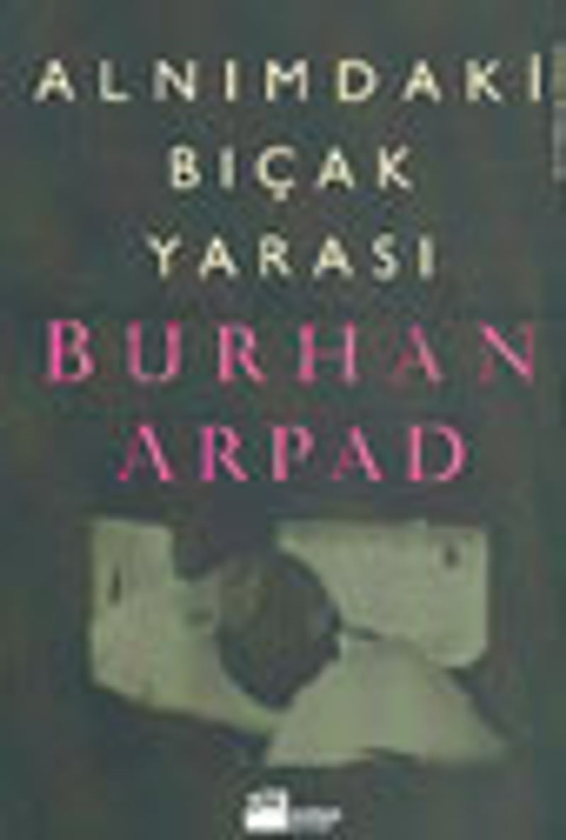 Alnımdaki Bıçak Yarası kitap kapağı