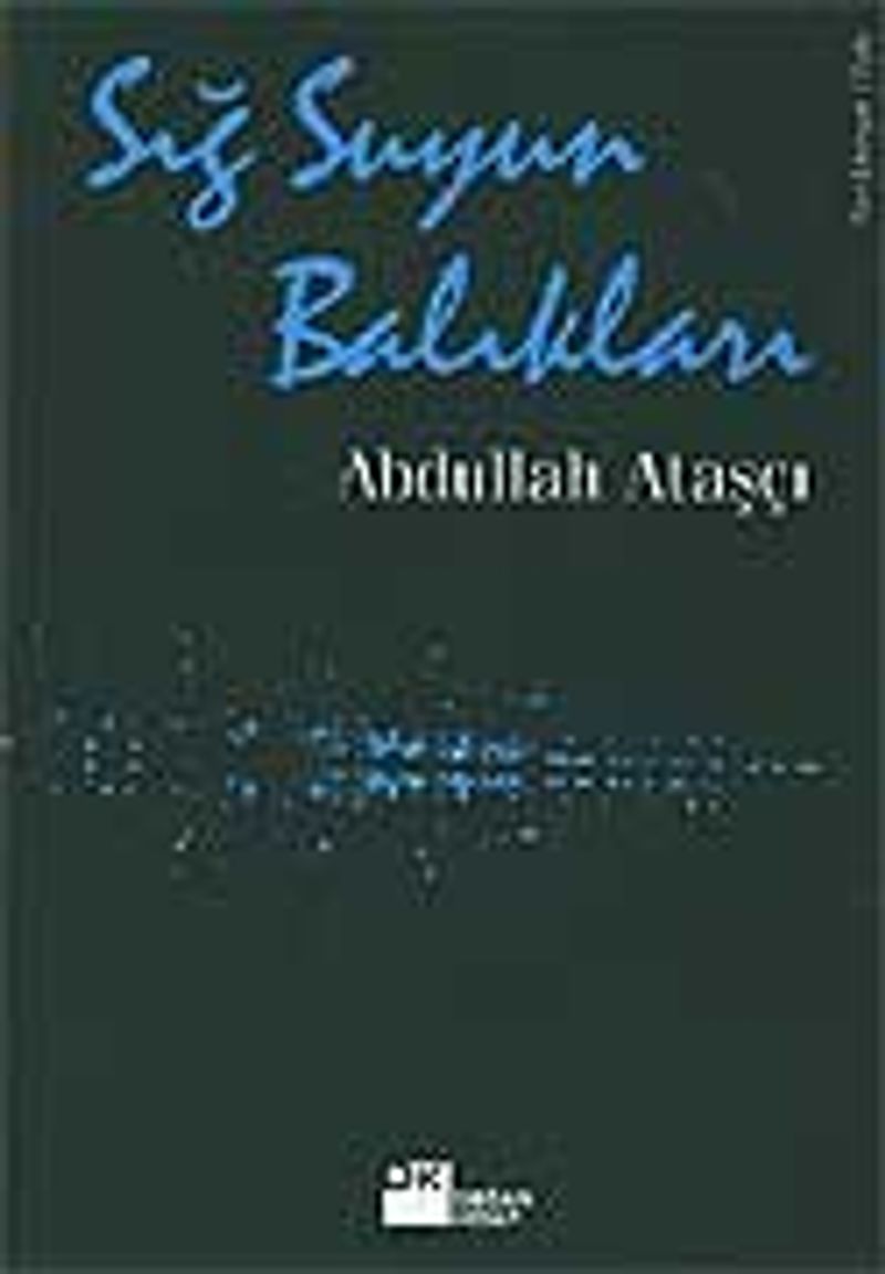 Sığ Suyun Balıkları kitap kapağı
