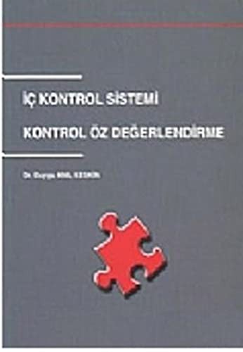 İç Kontrol Sistemi kitap kapağı