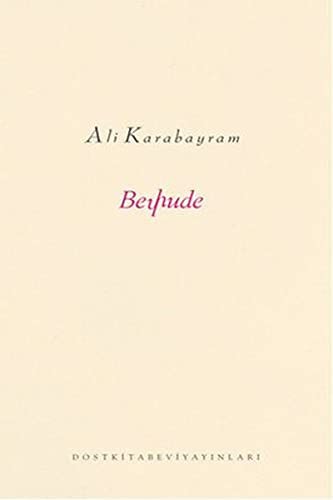 Beyhude kitap kapağı