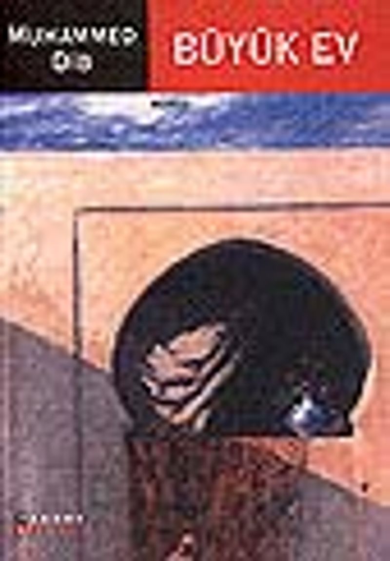 Büyük Ev kitap kapağı