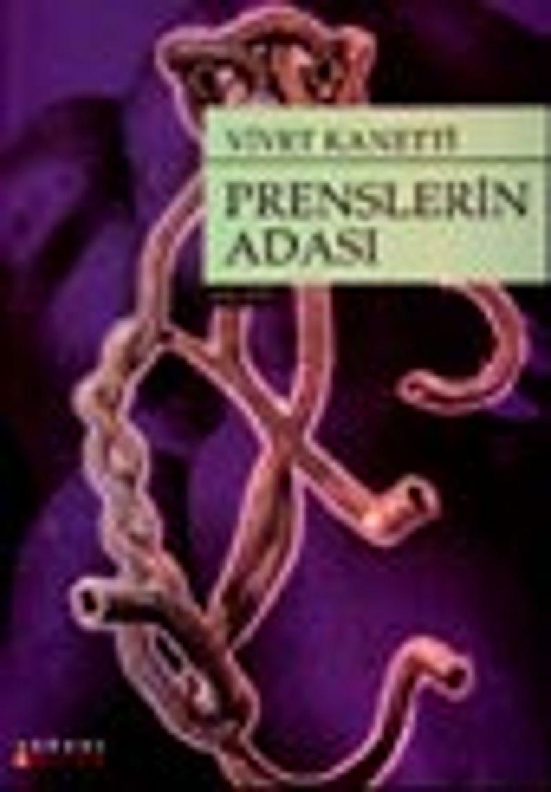 Prenslerin Adası kitap kapağı