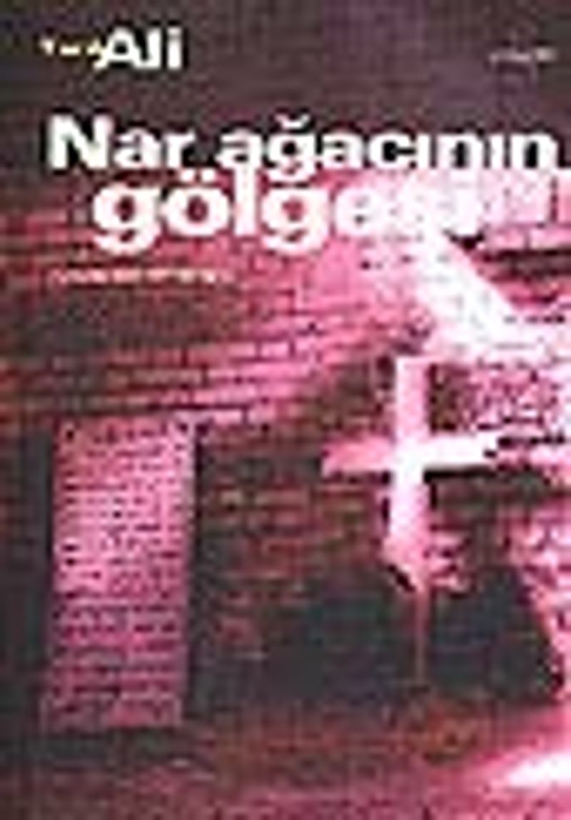 Nar Ağacının Gölgesi kitap kapağı