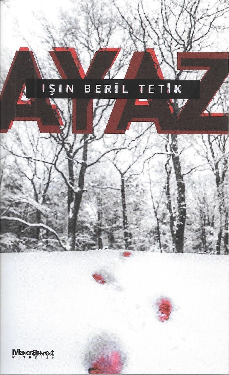Ayaz kitap kapağı