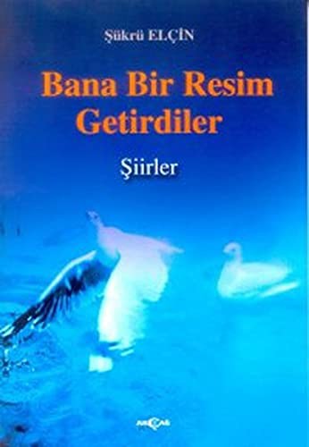 Bana Bir Resim Getirdiler kitap kapağı