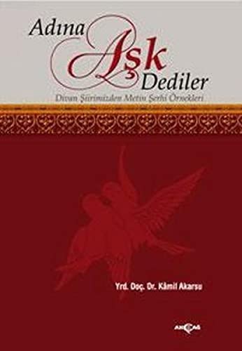 Adına Aşk Dediler kitap kapağı