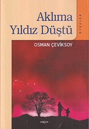 Aklıma Yıldız Düştü kitap kapağı