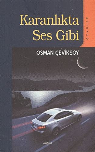 Karanlıkta Ses Gibi kitap kapağı