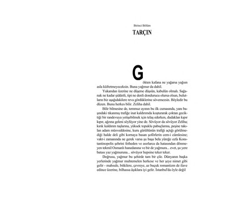 Baba ve Piç kitap kapağı