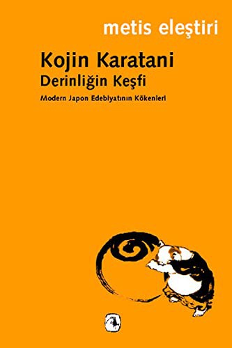 Derinliğin Keşfi & Modern Japon Edebiyatının Kökenleri kitap kapağı