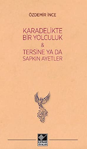 Kara Delikte Bir Yolculuk ve Tersine ya da Sapkın Ayetler kitap kapağı