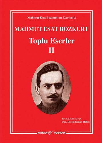 Mahmut Esat Bozkurt Toplu Eserler -II kitap kapağı