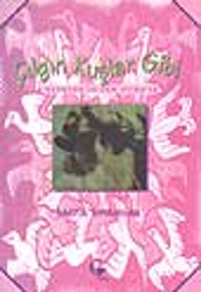 Çılgın Kuşlar Gibi kitap kapağı