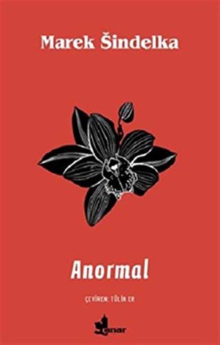 Anormal kitap kapağı
