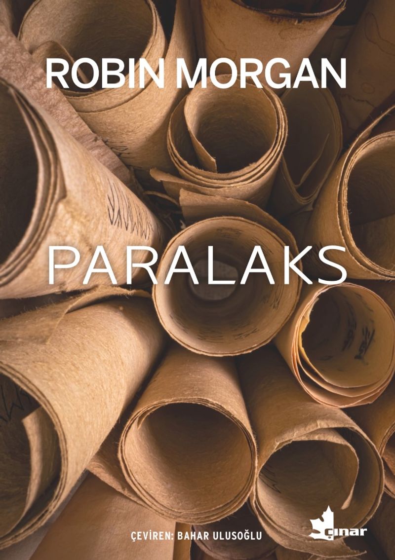 Paralaks kitap kapağı