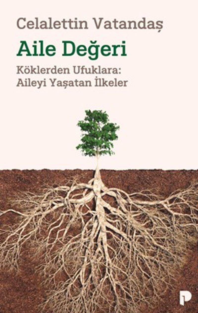 Aile Değeri Köklerden Ufuklara: Aileyi Yaşatan İlkeler kitap kapağı