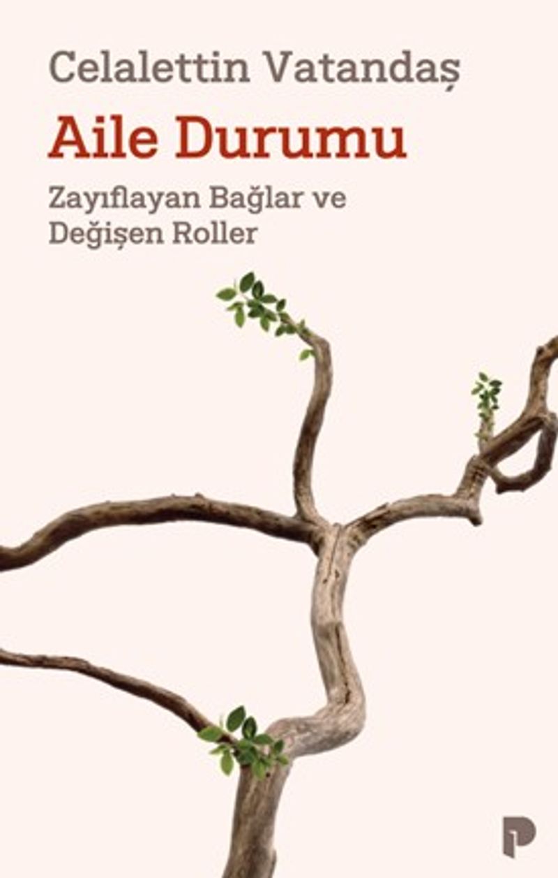 Aile Durumu Zayıflayan Bağlar ve Değişen Roller kitap kapağı