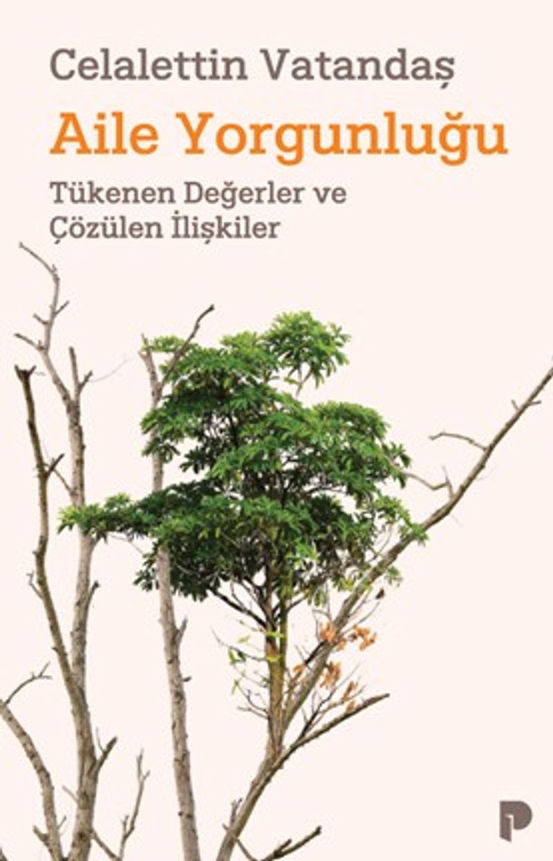 Aile Yorgunluğu Tükenen Değerler ve Çözülen İlişkiler kitap kapağı