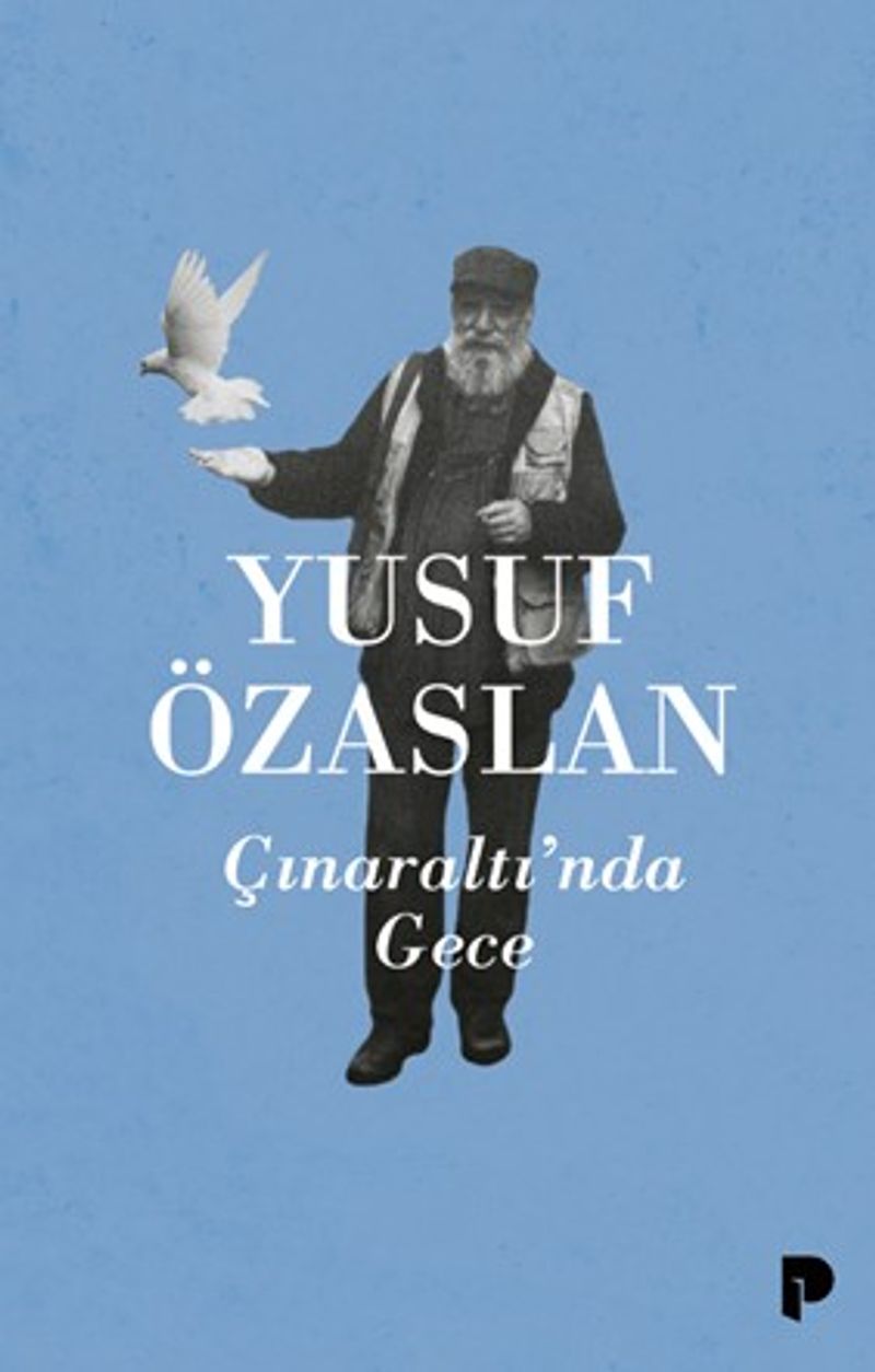 Çınaraltı'nda Gece kitap kapağı