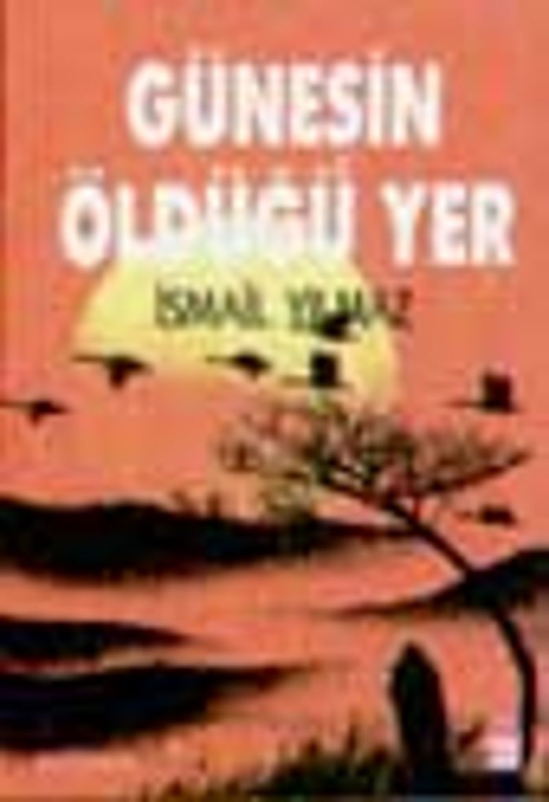 Gunesin oldugu yer kitap kapağı