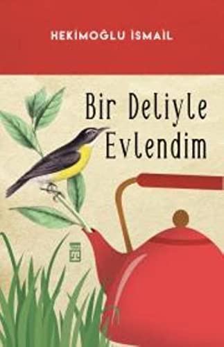 Bir Deliyle Evlendim kitap kapağı