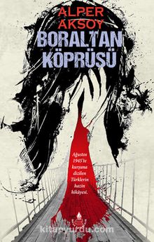 Boraltan Köprüsü kitap kapağı