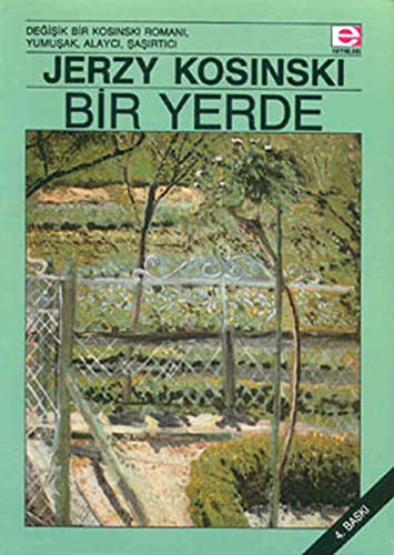 Bir Yerde kitap kapağı