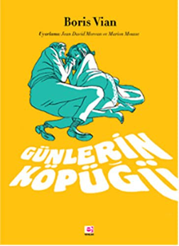 Günlerin Köpüğü (Çizgi Roman) kitap kapağı