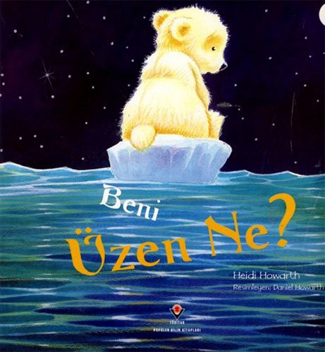 Beni Üzen Ne? kitap kapağı