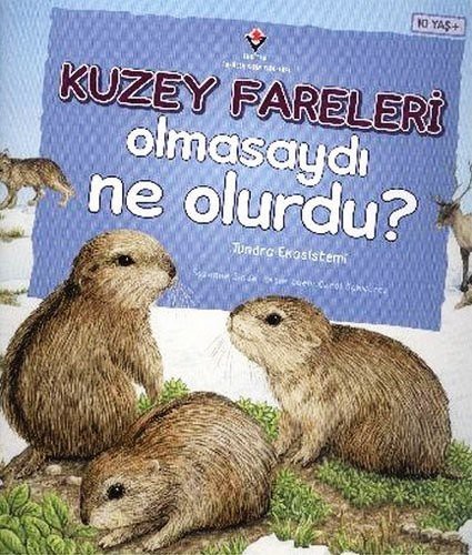 Kuzey Fareleri Olmasaydı Ne Olurdu? & Tundra Ekosistemi kitap kapağı