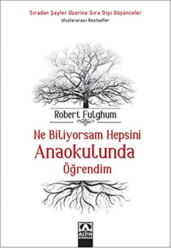 Ne Biliyorsam Hepsini Anaokulunda Öğrendim kitap kapağı