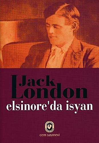 Elsinore'da İsyan kitap kapağı