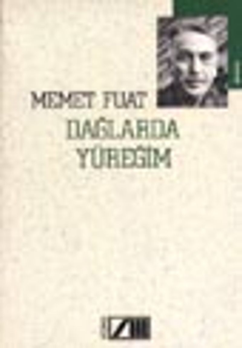 Dağlarda yüreğim kitap kapağı