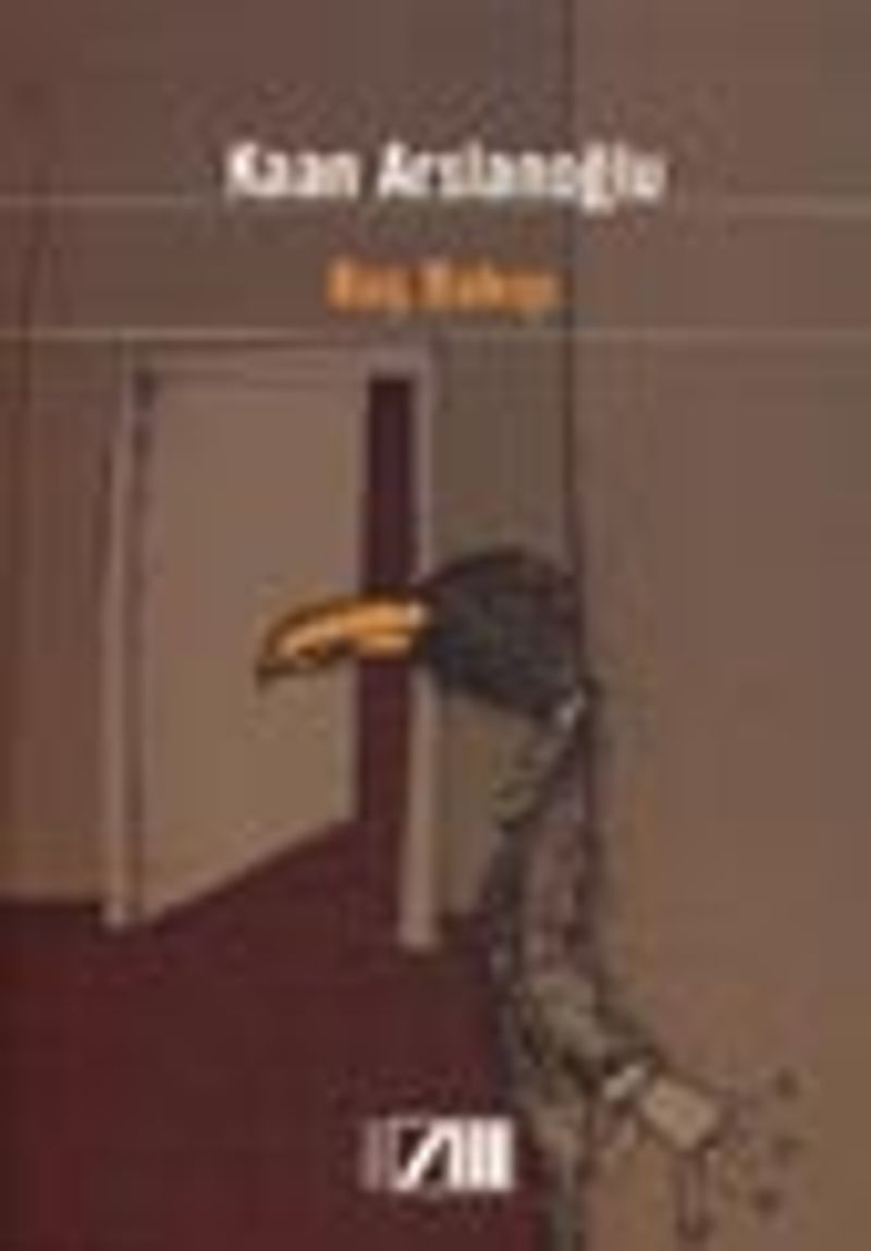 Kuş Bakışı kitap kapağı