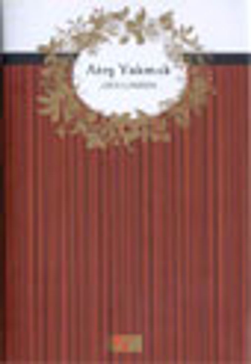 Ateş Yakmak (Ciltli) kitap kapağı