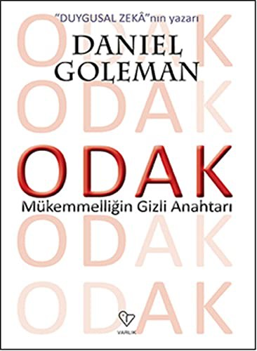 Odak & Mükemmelliğin Gizli Anahtarı kitap kapağı