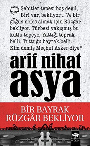 Bir Bayrak Rüzgar Bekliyor kitap kapağı