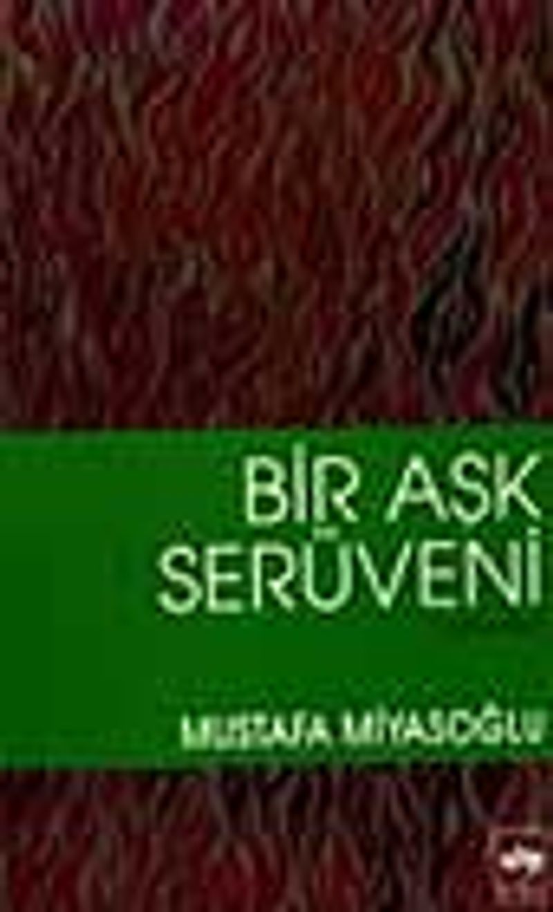 Bir Aşk Serüveni kitap kapağı
