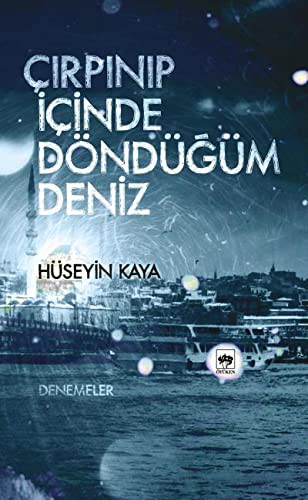 Çırpınıp İçinde Döndüğüm Deniz kitap kapağı