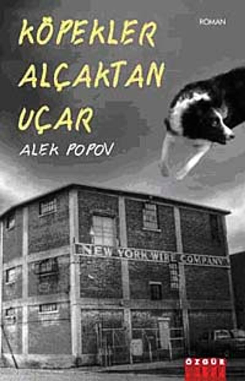 Köpekler Alçaktan Uçar kitap kapağı