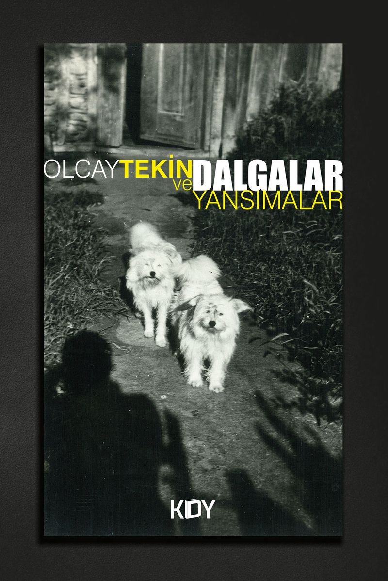 Dalgalar ve Yansımalar kitap kapağı