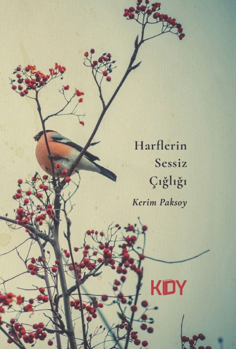 Harflerin Sessiz Çığlığı kitap kapağı