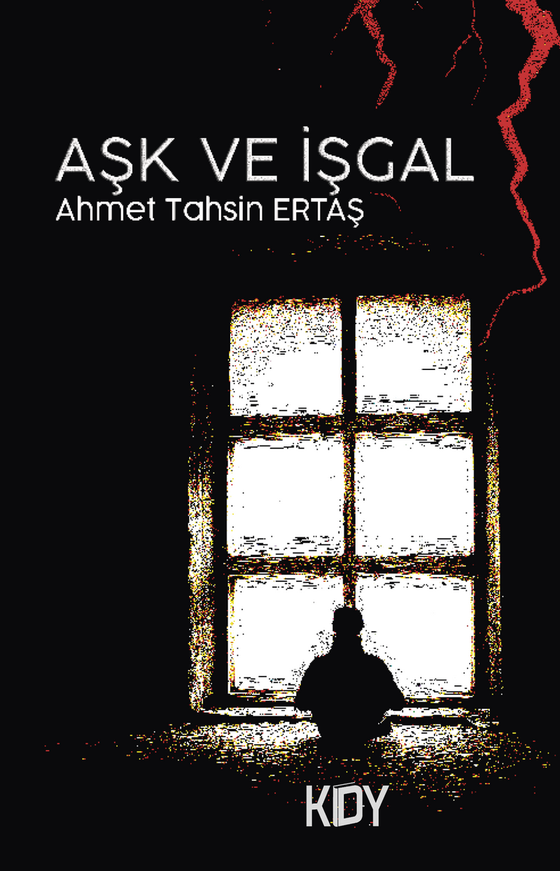 Aşk ve İşgal kitap kapağı