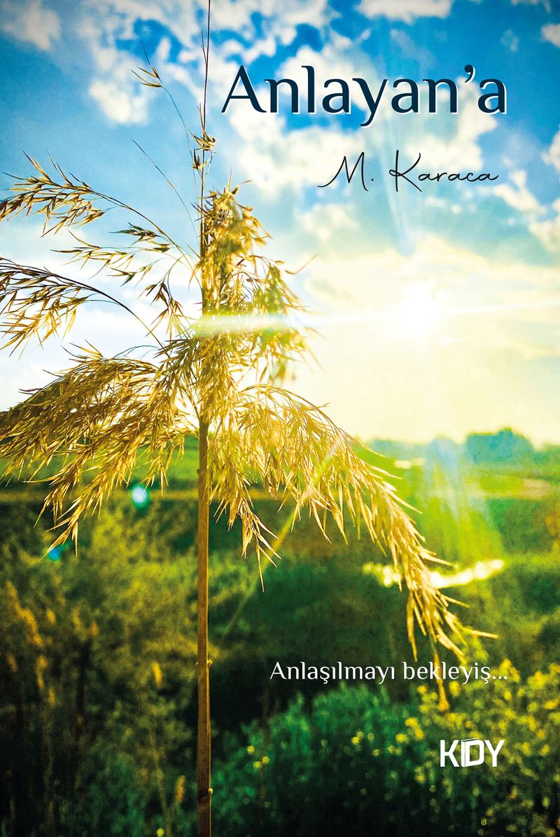 Anlayan'a kitap kapağı