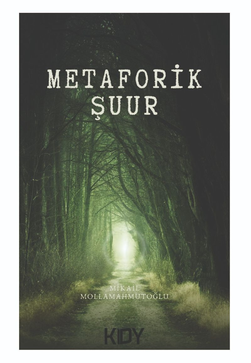 Metaforik Şuur kitap kapağı