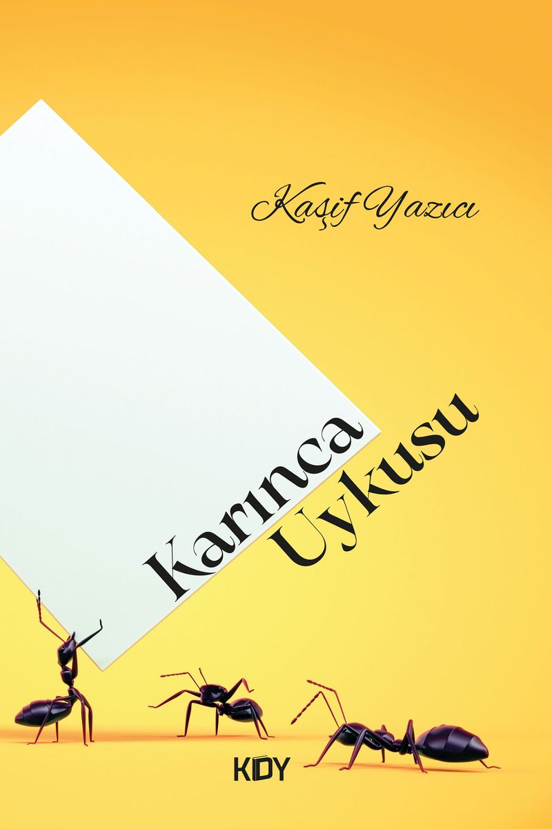 Karınca Uykusu kitap kapağı