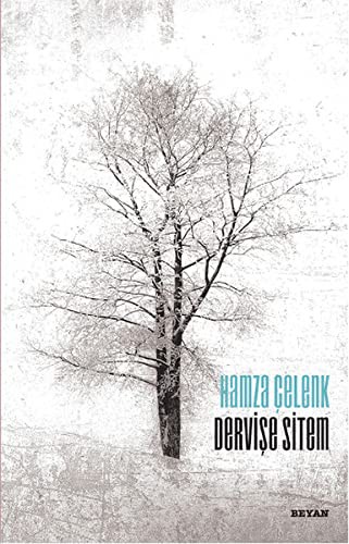 Dervişe Sitem kitap kapağı
